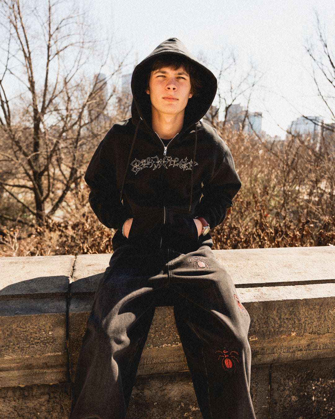 Image 17