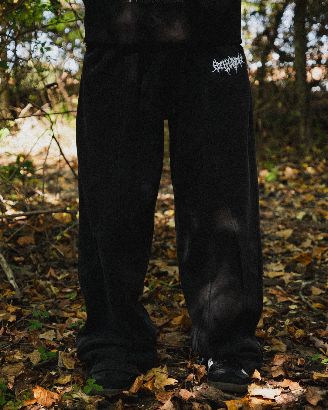 Image 17