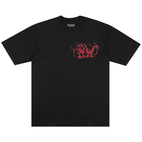 EVOLVING SKIES TEE BLACK - Second Image