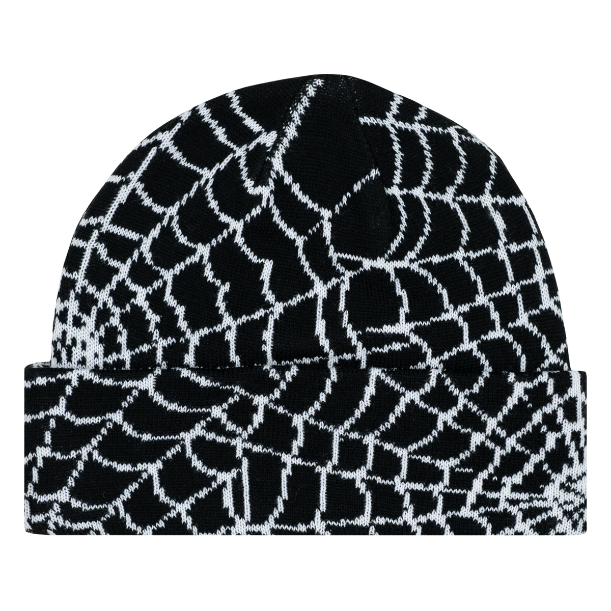 WEB BEANIE BLACK